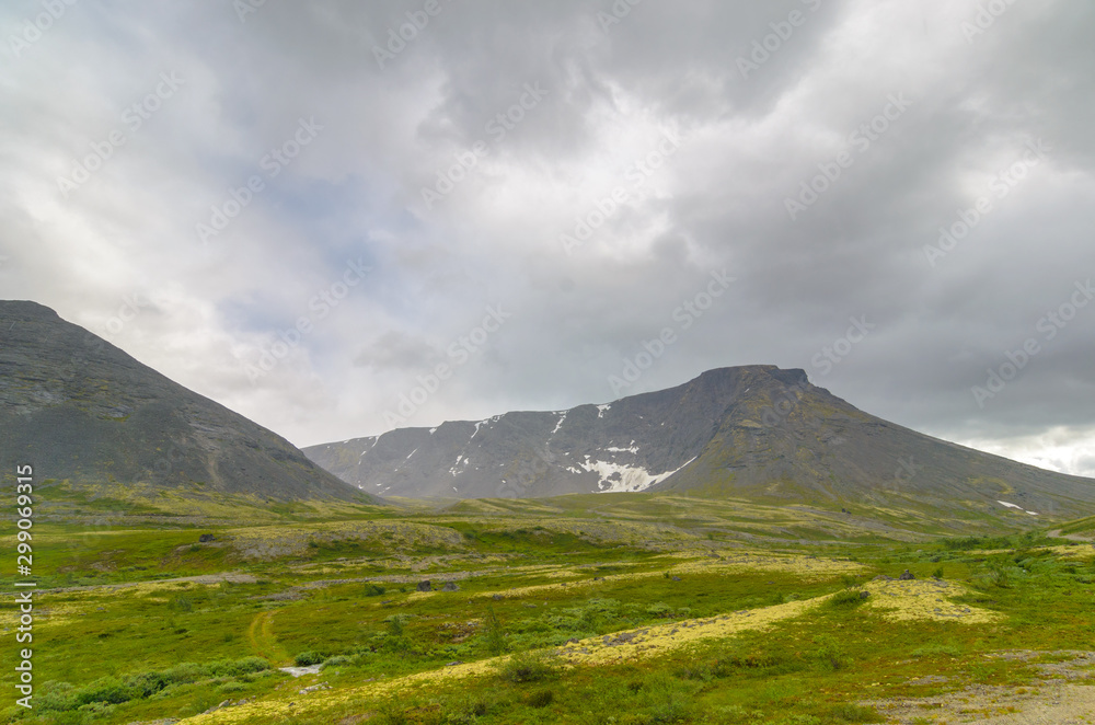 Mountain tundra with mosses and rocks covered with lichens, Hibiny mountains above the Arctic circle, Kola peninsula, Murmansk region, Russia Mountain tundra with mosses and rocks covered with lichens, Hibiny mountains above the Arctic circle, Kola peninsula, Murmansk region, Russia