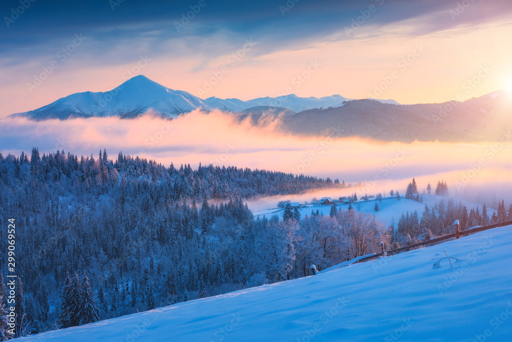 Carpathian winter mountain valley covered with fog