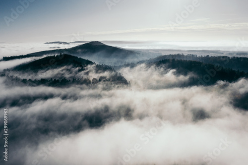 Der Teutoburger Wald im Nebel