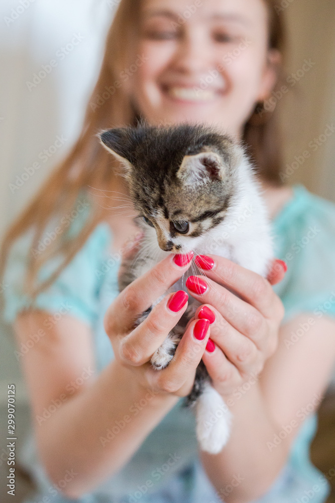Close up of cute kitty in woman's hands.