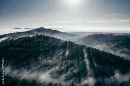 Der Teutoburger Wald im Nebel © romanb321