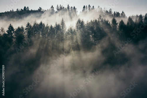 Der Teutoburger Wald im Nebel