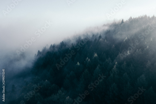 Der Teutoburger Wald im Nebel