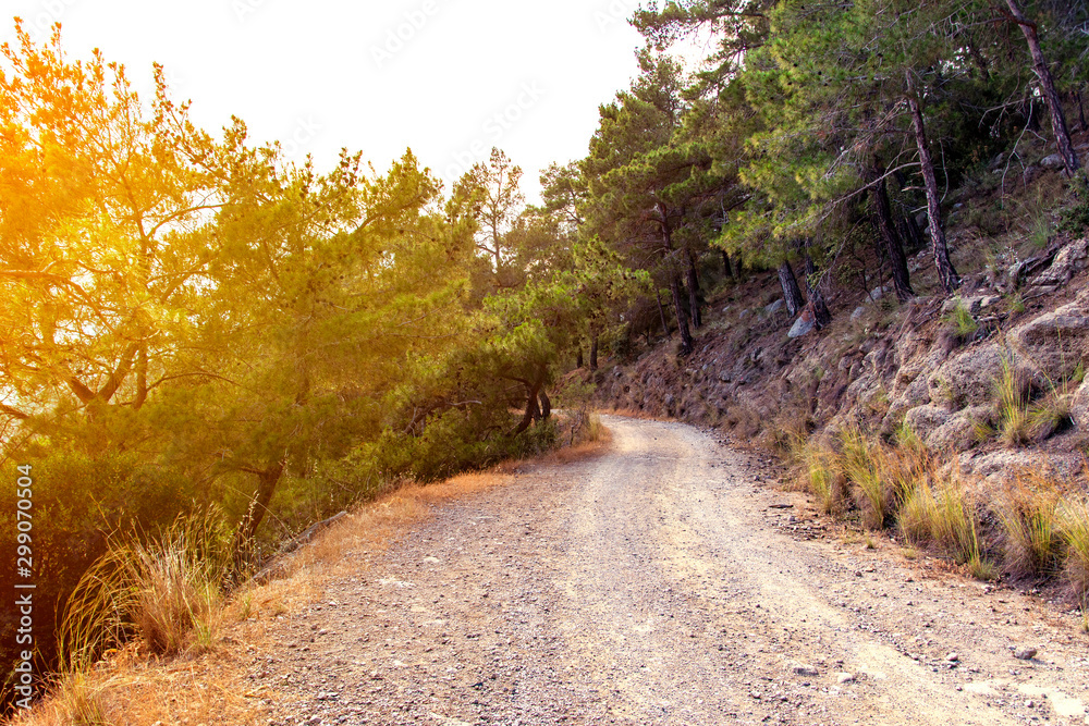 Mountain road through pines. Turkey, Kemer. Mountain road through pines. Turkey, Kemer.