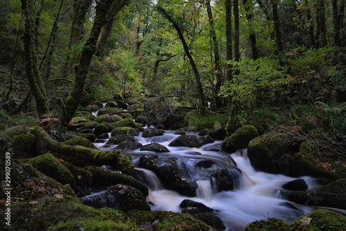 Devil falls