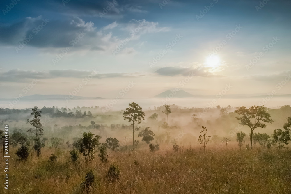 Mountain view of green meadow around with sea of fog with yellow sun light and cloudy sky background, sunrise at Thung Salang Luang, Khao Kho, Phetchabun, Thailand.