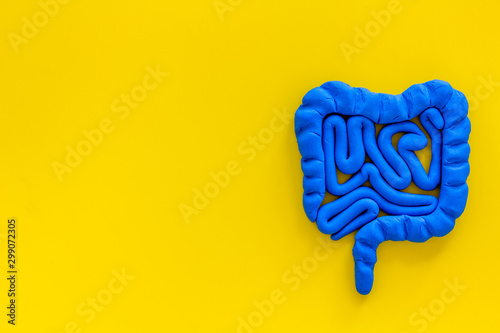 Foto Intestines health. Guts on yellow background top view copy space