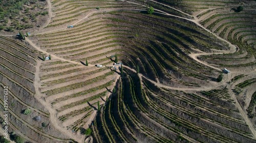 Aerial revealing view of the vineyards, at the Douro Valley, Portugal.