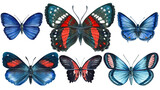 collection of colorful butterflys on an isolated white background, watercolor illustration, hand drawing, painting