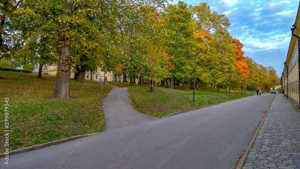 autumn trees at Stockholm