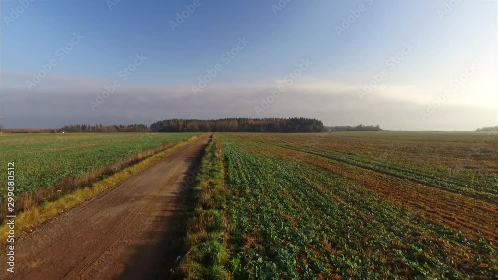 A Rustic Gravel Road Leads Through Agricultural Fields. Aerial Drone Low Dolly In