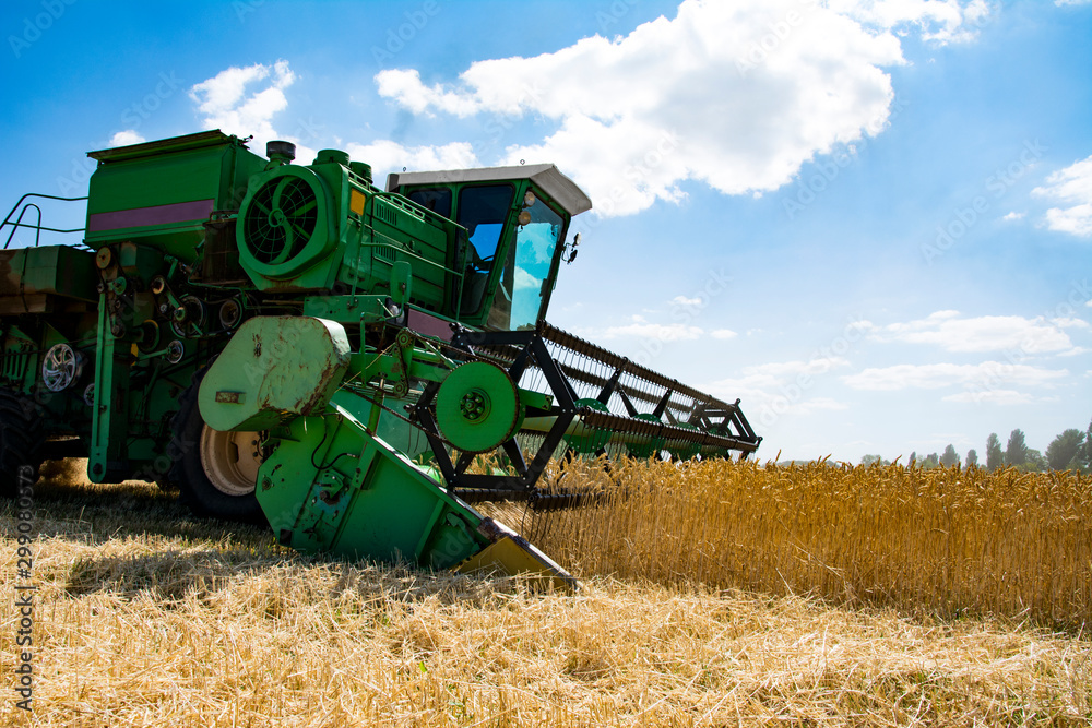 Fototapeta premium combine harvester on a wheat field