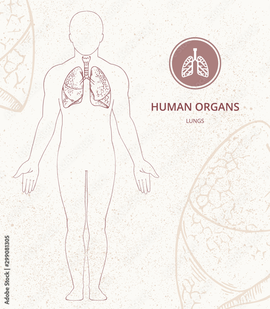 Medical banner template with place for text with the human body Inside Medical Banner Template