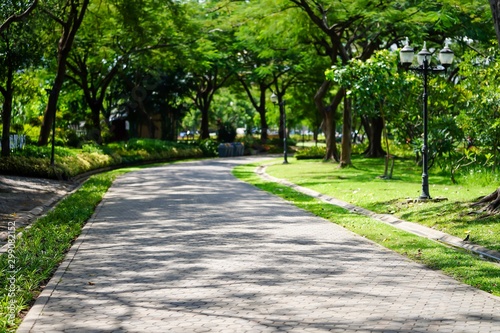 Fototapeta Naklejka Na Ścianę i Meble -  path in the park