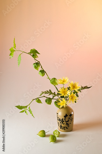 Fotografía de estudio de arreglo floral Ikebana