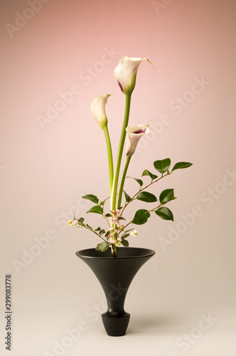Fotografía de estudio de arreglo floral Ikebana