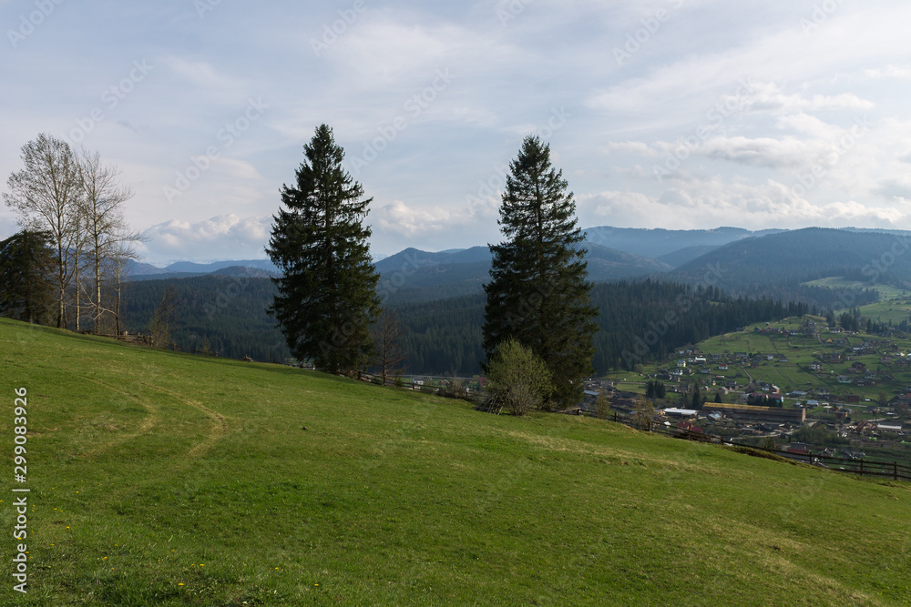 Carpathian mountains panoramic view