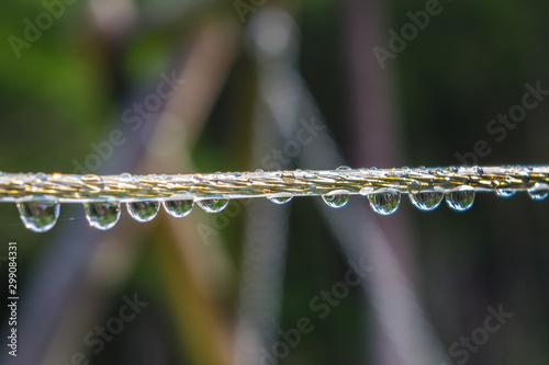 plastic clothesline with dew drops on closeup.