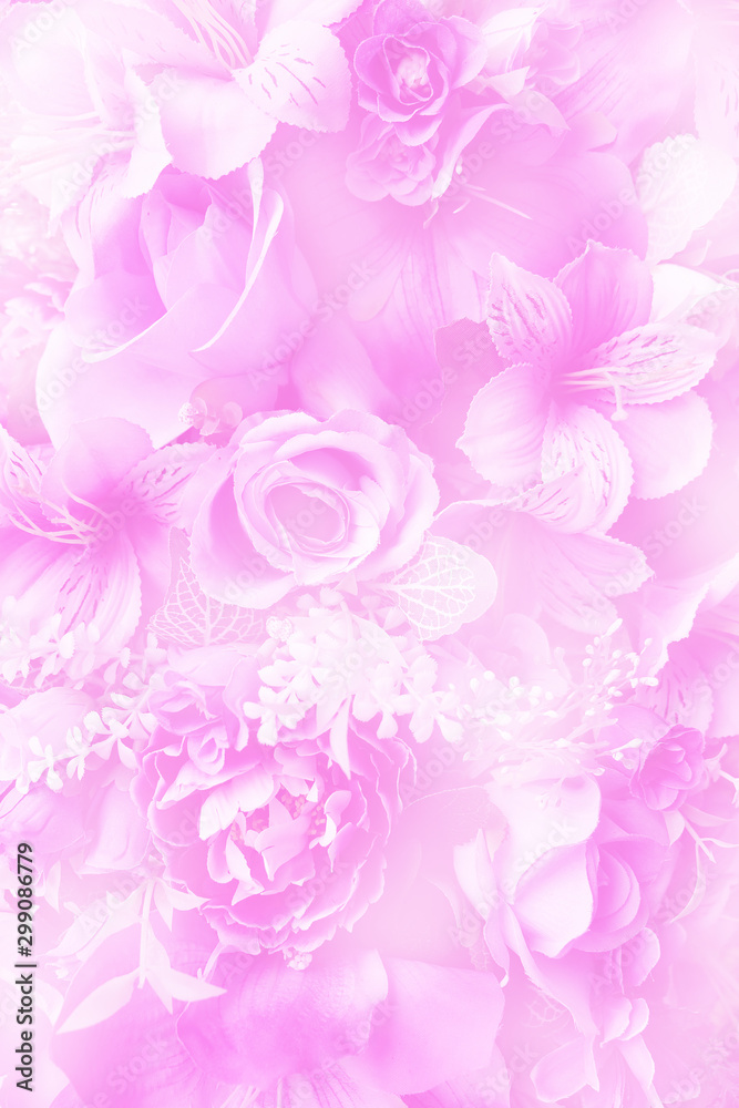 Rose flowers Rose flowers
