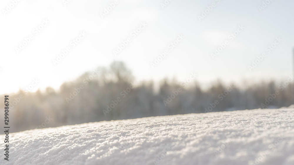 Christmas background with snow and snowflakes on a blurred natural background. Happy New Year, festive mood. Winter background. Copy space.