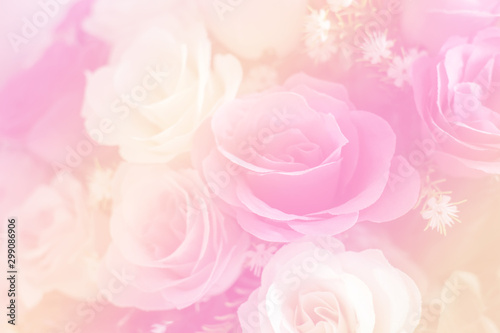 Fototapeta Naklejka Na Ścianę i Meble -  Rose flowers