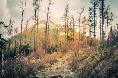 Autumn in the High Tatras in Slovakia