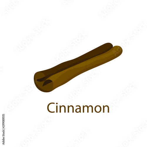 Cinnamon stick on white background. Color food vector illustration. Cartoon hand drawn spice. Isolated icon