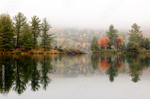 Shore of George Lake in overcast day. Killarney Prov. Park. photo