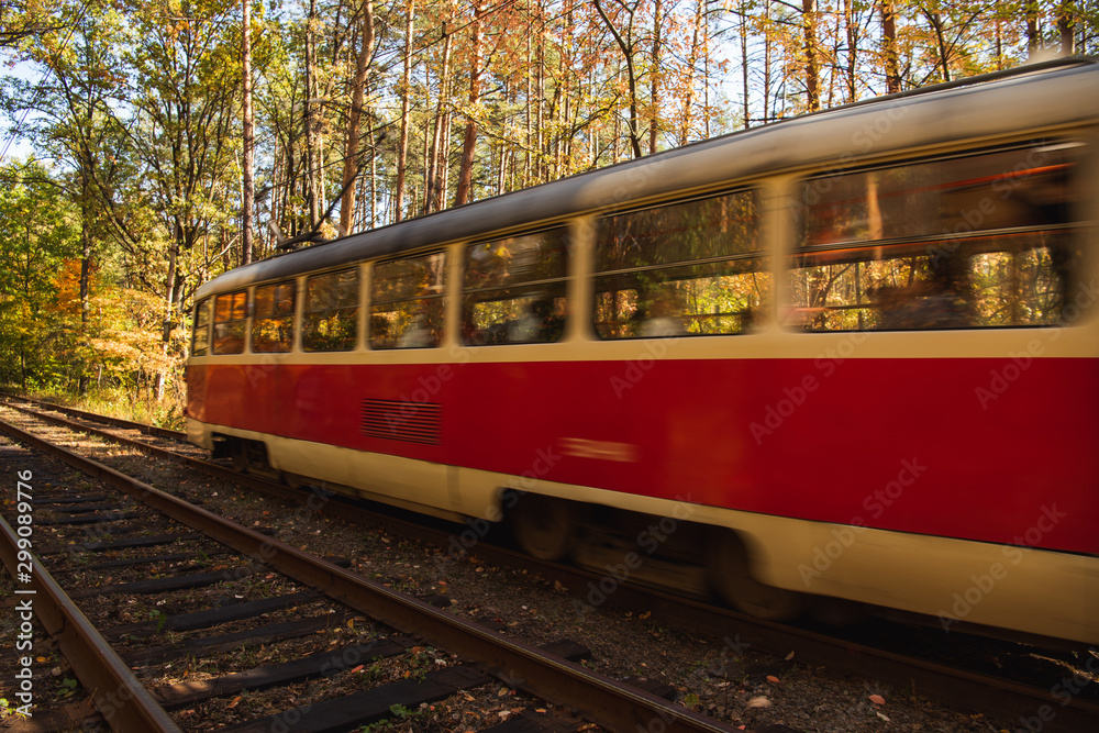 motion blur of tram with passengers on railway in autumnal forest with golden foliage in sunlight