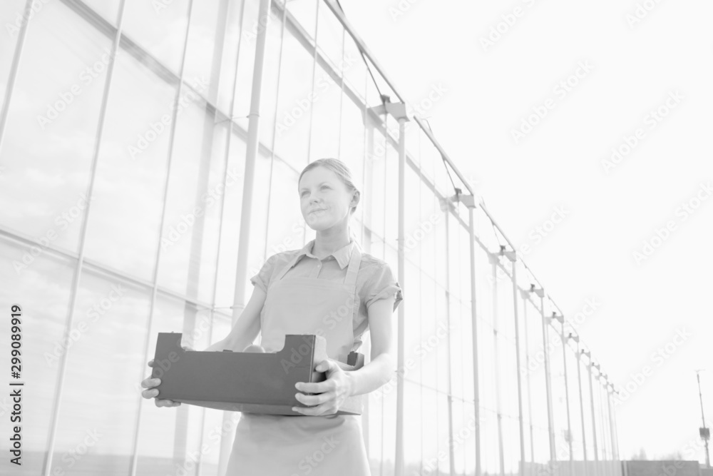 Φωτογραφία Black and white photo of young farmer carrying newly harvest tomatoes in crate a