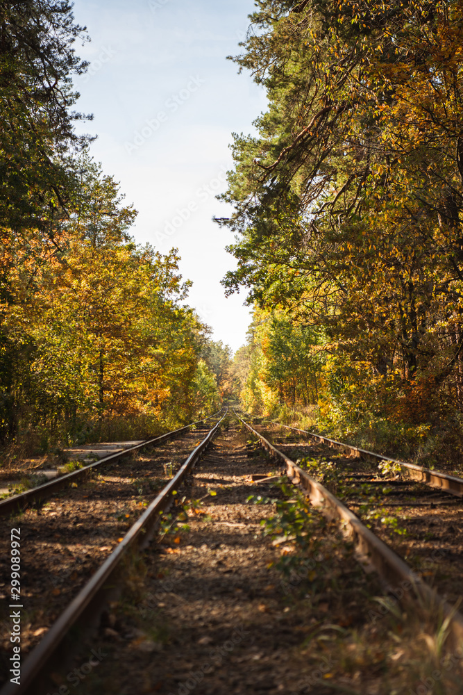 railway in scenic autumnal forest with golden foliage in sunlight railway in scenic autumnal forest with golden foliage in sunlight