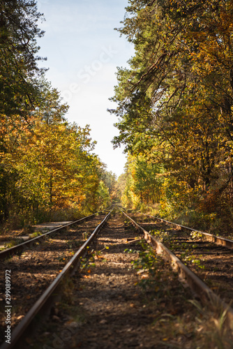 railway in scenic autumnal forest with golden foliage in sunlight