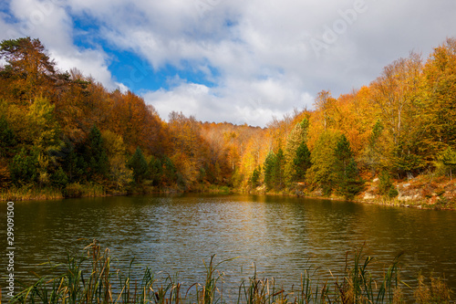 Autumn landscape, forest and lake