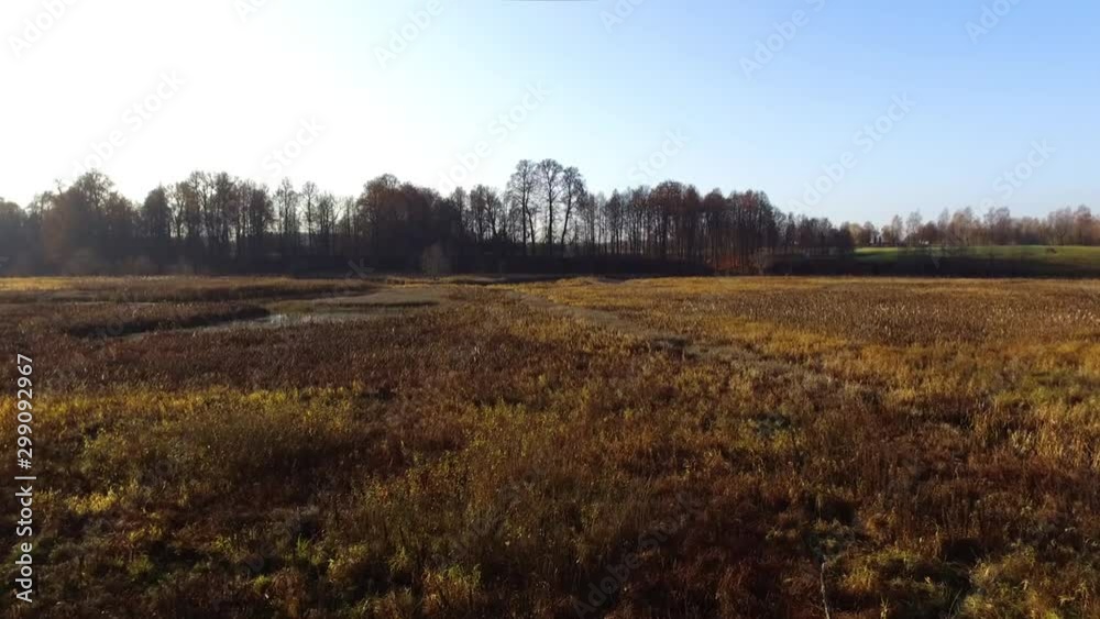 Winding River In Sunny Autumn. Aerial Drone Dolly-In Footage Winding River In Sunny Autumn. Aerial Drone Dolly-In Footage