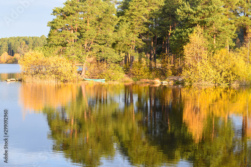 Autumn forest is reflected in the mirror surface of the water