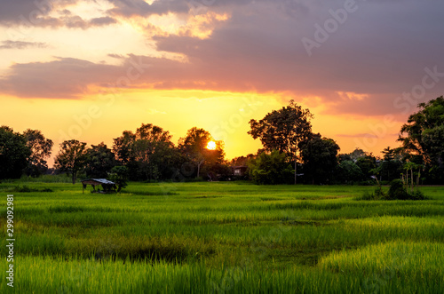 Sunset over the field in countryside.