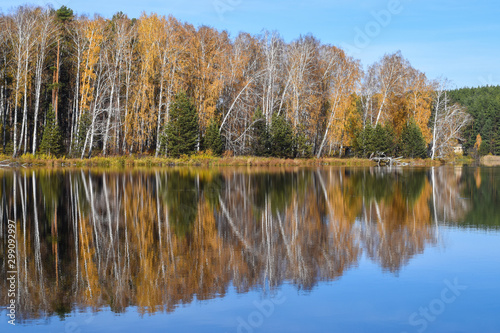 Autumn trees are reflected in the mirror surface of the water.