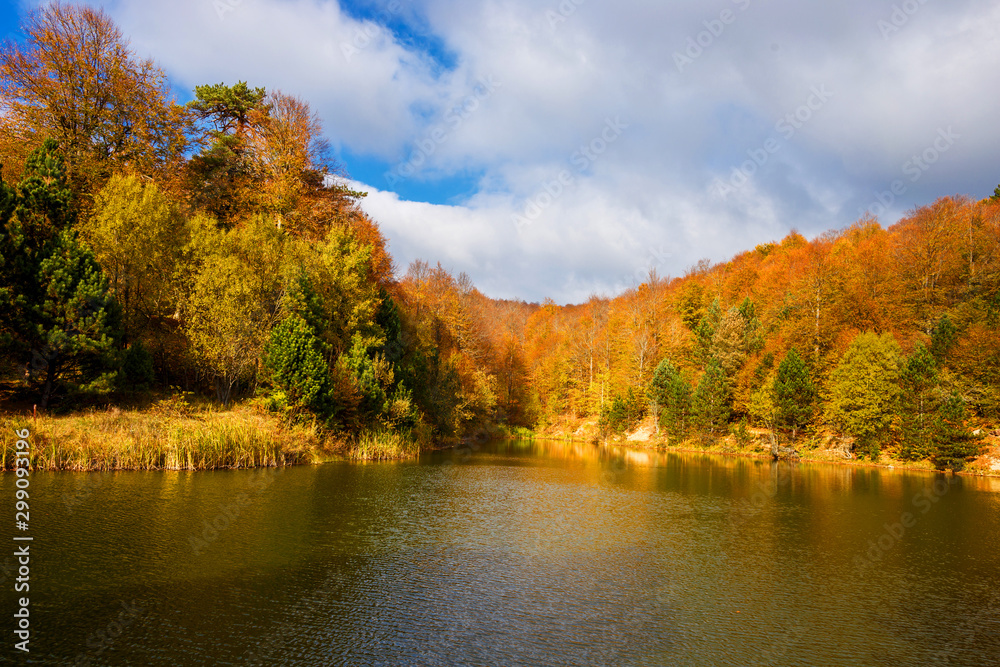 autumn landscape with lake and trees autumn landscape with lake and trees