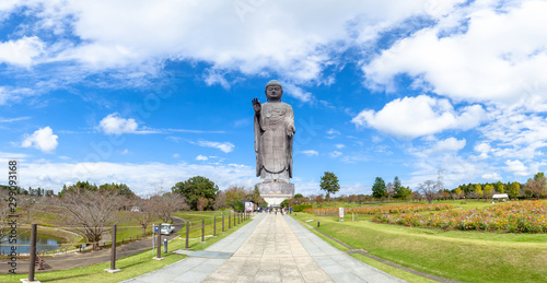 牛久大仏 photo