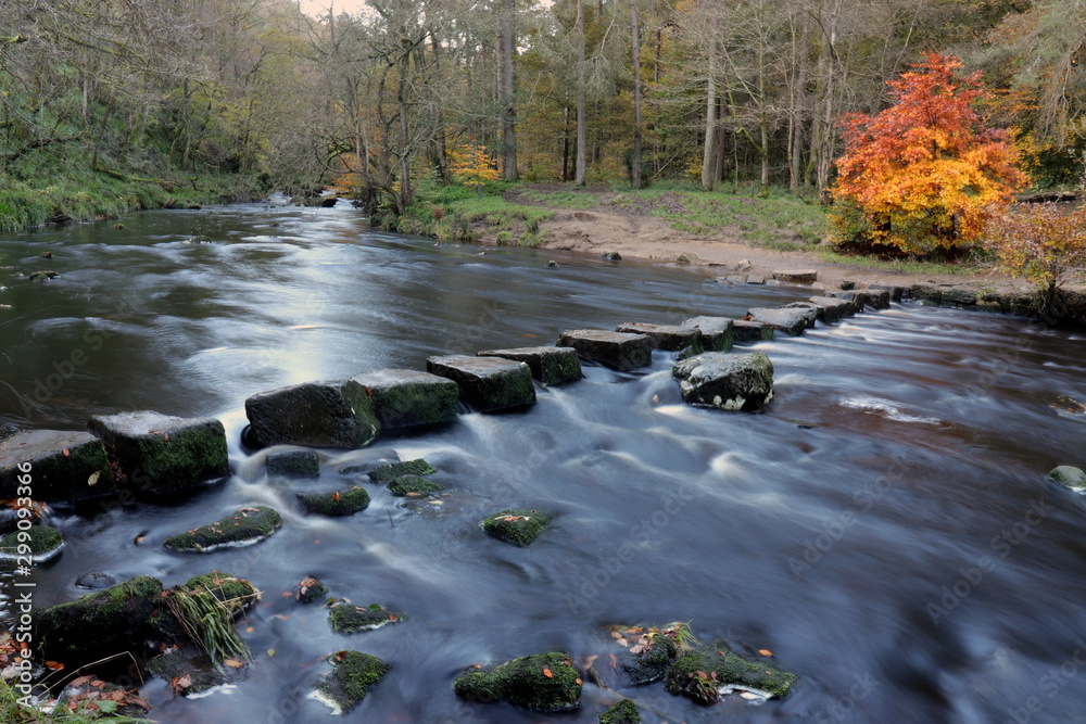 Obraz premium stepping stones across river in autumn