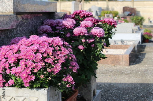 mort : pandémie coronavirus : covid 19