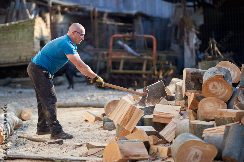 Lumberjack splitting wood with an axe Lumberjack splitting wood with an axe