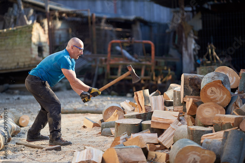 Lumberjack splitting wood with an axe © Xalanx