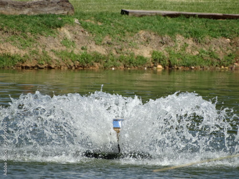 Naklejka premium Engenho ranch hotel with lakes, trees and animals