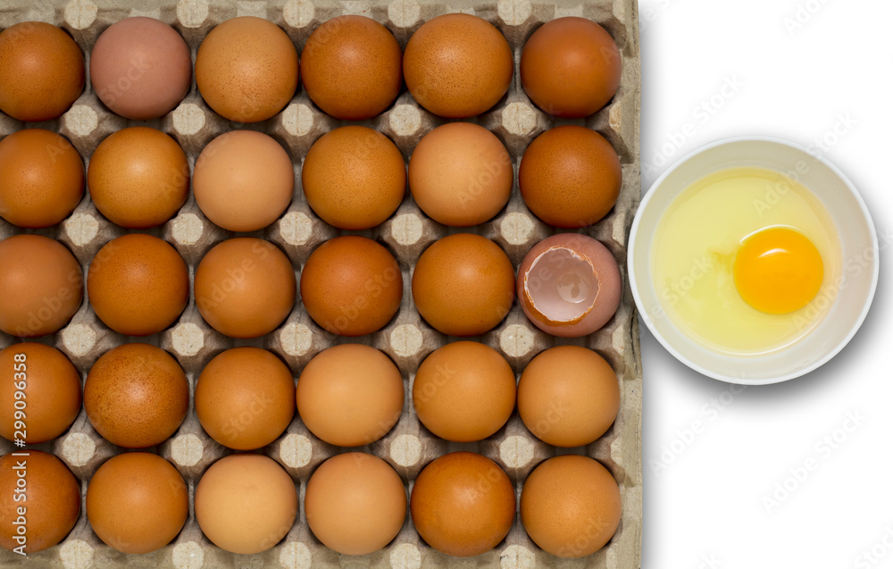 A top view of a hen's egg in a panel on a white background A top view of a hen's egg in a panel on a white background