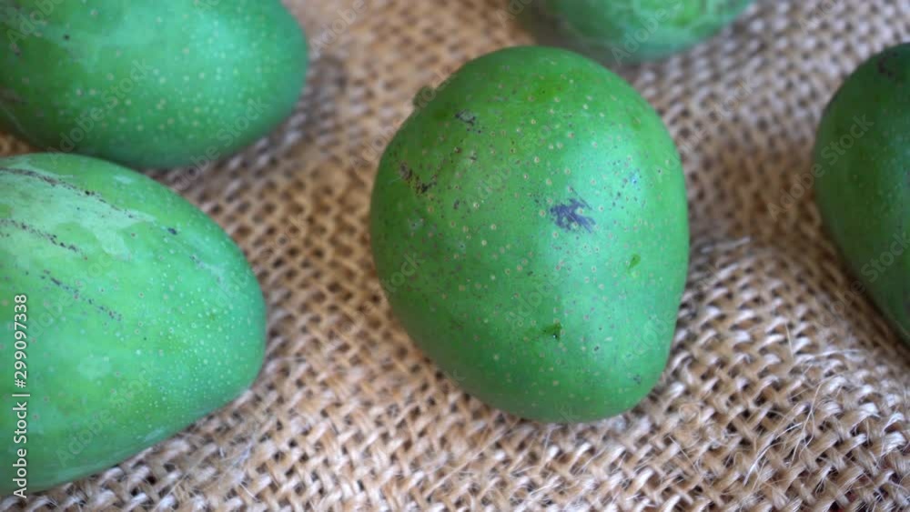 Fresh green mangoes rotating on a jute mat