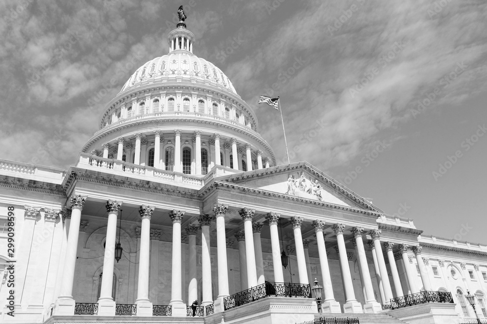 US National Capitol. Black and white vintage style.