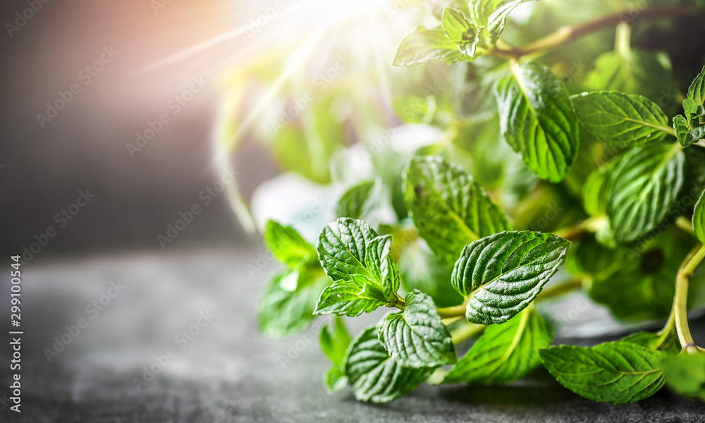 Mint plant. Bunch of fresh green mint leaf on dark stone table closeup. Selective focus leaves detail. Peppermint in spring natural light background. - obrazy, fototapety, plakaty 