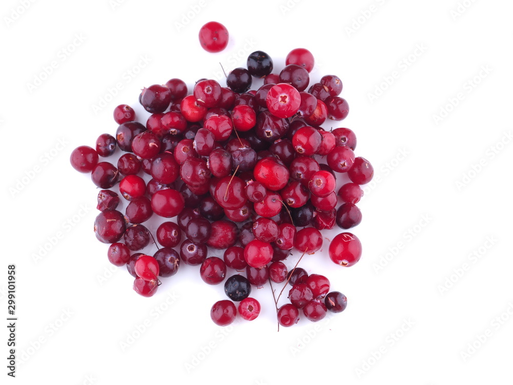 cranberries on a white background cranberries on a white background