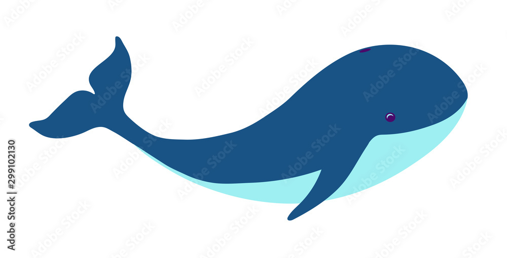 A whale swims in the ocean. Undersea world and animals of the sea A whale swims in the ocean. Undersea world and animals of the sea